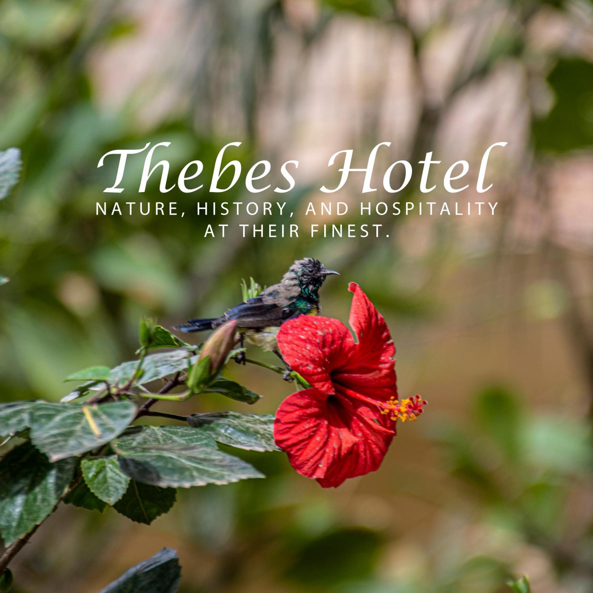 Thebes Hotel ลักซอร์ ภายนอก รูปภาพ