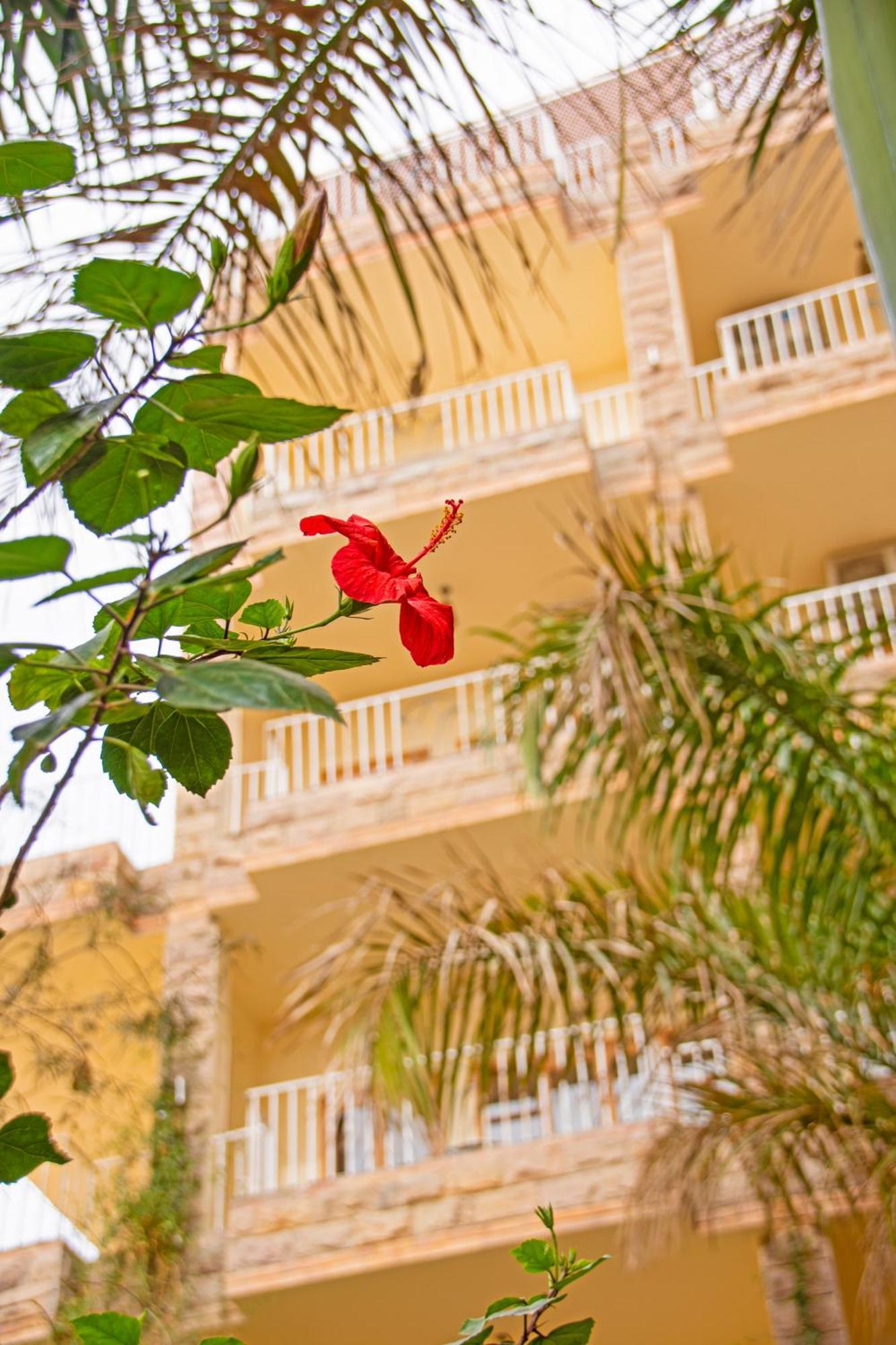 Thebes Hotel ลักซอร์ ภายนอก รูปภาพ